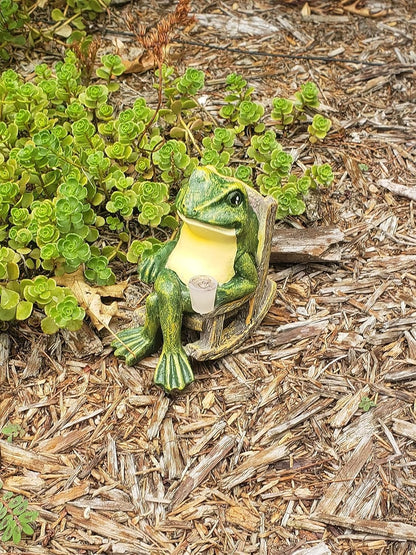 Grenouille De Jardin Incandescente